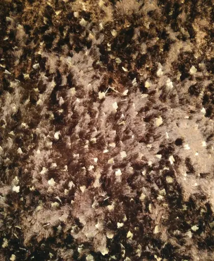 Handwebteppich Shiny